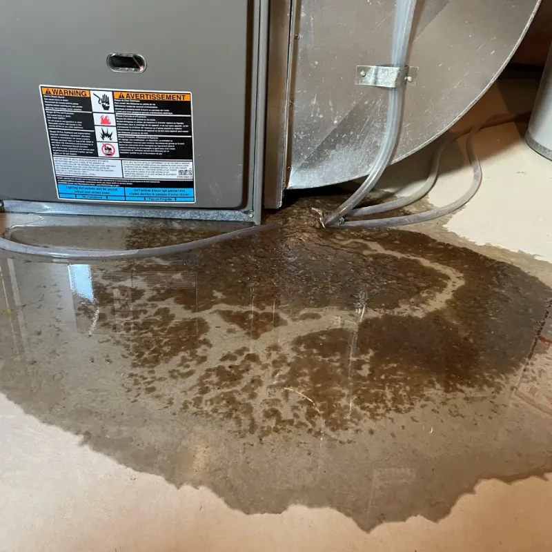 Appliance Leak Cleanup in Leander, TX