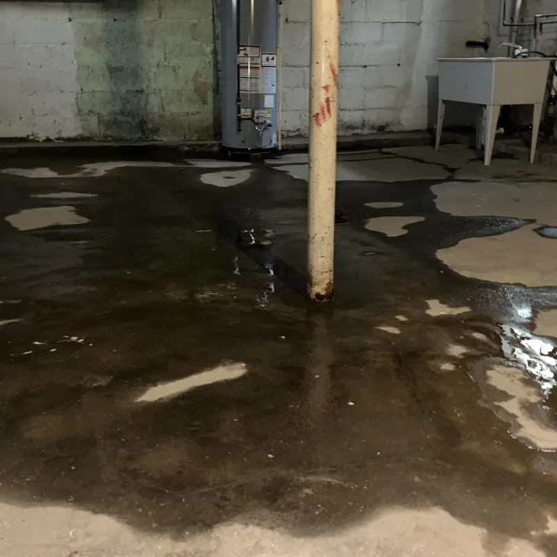Emergency Water Extraction And Removal in Leander, TX
